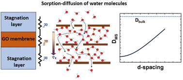 Graphical abstract: Decoding ultrafast water transport in graphene oxide