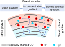 Graphical abstract: Flexoelectric effect in flexible 2D nanofluidic channels