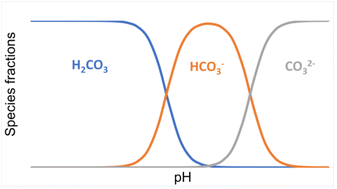 Graphical abstract: Speciation and hydration forces in sodium carbonate/bicarbonate aqueous solutions nanoconfined between mica sheets