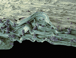 Graphical abstract: Concluding remarks: Polymerisation and depolymerisation chemistry: the second century