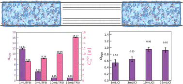 Graphical abstract: Ionophilicity and transport dynamics of concentrated electrolytes in sub-nanometre graphite confinement