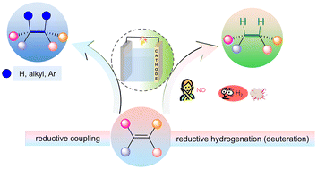 Graphical abstract: Organic-electrical reduction of carbon–carbon double bonds