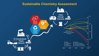 Graphical abstract: Towards sustainable plastics: a sustainable chemistry assessment