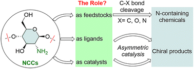 Graphical abstract: The role of N-containing carbohydrates in organic catalysis: a review