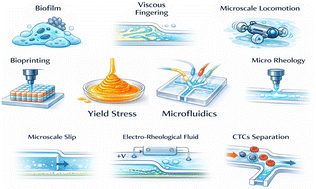 Graphical abstract: Yield stress fluids in microfluidics: research, applications and opportunities