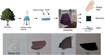 Graphical abstract: Gold nanoparticle-embedded cellulose acetate: structural, optical, mechanical, and cytotoxicity assessment