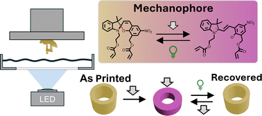 Graphical abstract: 3D DLP printed mechanochromic materials for visual signaling
