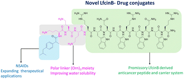 Graphical abstract: Non-steroidal anti-inflammatory drugs conjugated to a synthetic peptide exhibit in vitro cytotoxic activity against cervical cancer and melanoma cells