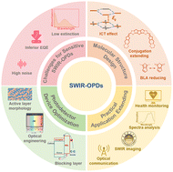 Graphical abstract: Short-wave infrared organic photodetectors based on n-type small molecular semiconductors