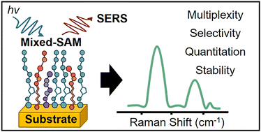 Graphical abstract: Self-assembled monolayers for bio-analytical SERS applications: from single to mixed component SAMs