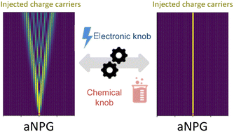 Graphical abstract: Progress on quantum transport engineering in atomically precise anisotropic nanoporous graphene