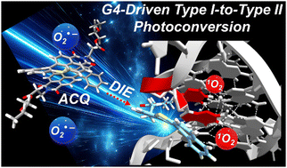Graphical abstract: G-quadruplex-driven molecular disassembly and type I-to-type II photophysical conversion of a heavy-atom-free photosensitizer for site-specific oxidative damage