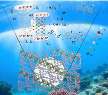 Graphical abstract: In situ interfacial engineering of 1D Bi2S3/2D g-C3N4 heterostructures for antibiotics degradation in aqueous media via light mediated peroxymonosulfate activation