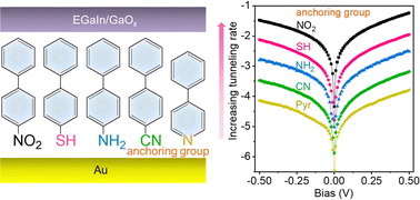 Graphical abstract: Influence of anchoring group on charge transport across self-assembled monolayer-based molecular tunnel junctions