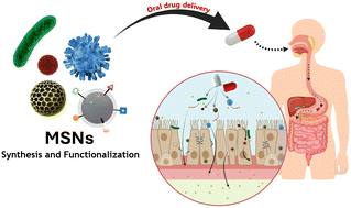 Graphical abstract: Tailored mesoporous silica nanoparticles for overcoming gastrointestinal barriers: a perspective on advanced strategies for oral delivery
