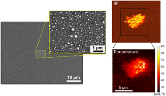 Graphical abstract: Uniform coating of separated nanodiamonds via thin polymer-assisted electrostatic self-assembly for thermal sensing