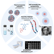 Graphical abstract: Radiopaque poly(5-acrylamido-2,4,6-triiodoisophthalic acid)-based copolymers as theranostic carriers for image-guided drug delivery