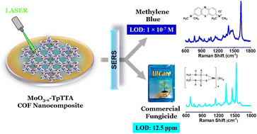 Graphical abstract: One-step microwave-assisted synthesis of a MoO3−x-covalent organic framework (COF)-based nanocomposite for amplified surface-enhanced Raman spectroscopy in environmental applications