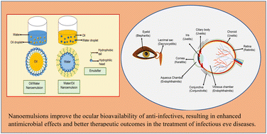 Graphical abstract: Nanoemulsions for the ocular delivery of anti-infectives: challenges, advances and prospects in treating infectious eye diseases