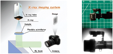 Graphical abstract: Gd/Tb/Eu alloyed double-perovskite lanthanide halides for color tunable photoluminescence and robust scintillation performance
