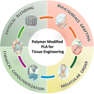 Graphical abstract: Recent advances in polymer-modified poly(lactic acid) for tissue engineering applications