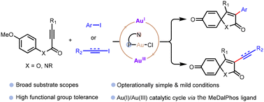 Graphical abstract: Gold-catalyzed spirocyclization of activated alkynes with organoiodides: access to 3-arylated, 3-alkenylated, and 3-alkynylated spiro[4.5]trienones