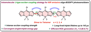 Graphical abstract: Intramolecular exciton coupling modulates the convergent singlet-triplet energy gap toward NIR-emissive heavy-atom-free Oligo-BODIPY photosensitizers