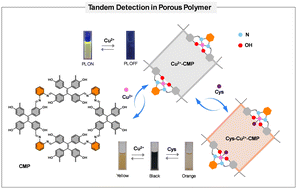 Graphical abstract: Reversible dual-mode detection of Cu2+ and tandem capture of cysteine using a salphen-conjugated microporous polymer