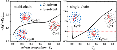 Graphical abstract: A novel microscopic origin of co-nonsolvency