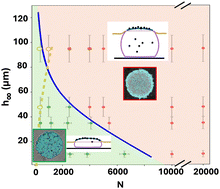 Graphical abstract: Control of monolayer sheet size and spatial order in colloidal assemblies by drying sessile drops of suspensions on oil layers