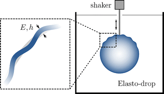 Graphical abstract: Tunable thin elasto-drops