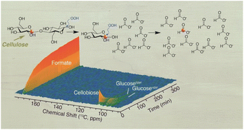 Graphical abstract: Disaccharides as substrates and mechanistic probes for efficient carbohydrate conversion to formic acid in water near room temperature
