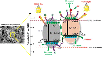 Graphical abstract: A novel ternary Mn2O3 decorated GO-MoS2 heterostructure for enhanced tetracycline degradation and green H2 production under visible light