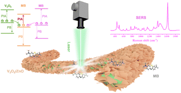 Graphical abstract: Interfacial charge transfer engineering in V3O5/ZnO p–n heterostructures for enhanced SERS performance