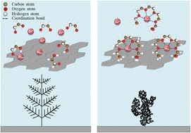 Graphical abstract: Chain-length-selective adsorption governs diffusion-limited dendrite growth mode in battery electrodes