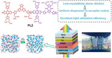 Graphical abstract: A low-crystallinity polymer donor enables high-efficiency semitransparent organic solar cells under substantial donor dilution