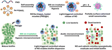 Graphical abstract: Light-mediated activation of nitric oxide and antibacterial polymers for anti-biofilm applications