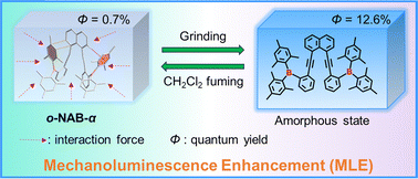 Graphical abstract: Congested position isomerism enhanced mechanoluminescence of triarylboranes