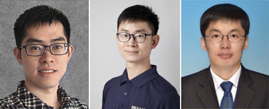 Graphical abstract: Introduction to Nanoscale Advances in Innovative Bioengineering