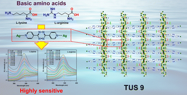 Graphical abstract: Precision ladder-structured silver cluster assembly bridged by tetrazine linkers for highly sensitive and selective luminescence recognition of amino acids