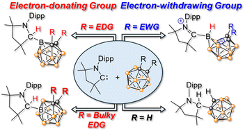 Graphical abstract: Substituent effects on o-carborane reactivity with cyclic (alkyl)(amino)carbenes