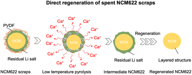 Graphical abstract: Fluorine migration regulation for direct regeneration of high-nickel cathode scraps