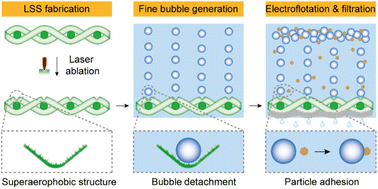 Graphical abstract: Surface engineering of stainless-steel mesh with superwettability toward efficient water treatment through electroflotation