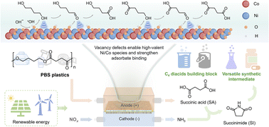 Graphical abstract: Vacancy-defective spinel NiCo2O4 enables high-valent Ni/Co species and adsorbate binding for the electrocatalytic upcycling of polybutylene succinate plastics