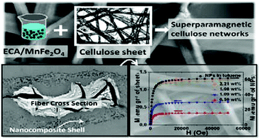 Graphical abstract: Superparamagnetic cellulose fiber networks via nanocomposite functionalization