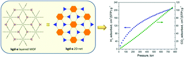 Graphical abstract: Directed assembly of a high surface area 2D metal–organic framework displaying the augmented “kagomé dual” (kgd-a) layered topology with high H2 and CO2 uptake
