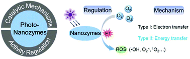 Graphical abstract: Light-activated nanozymes: catalytic mechanisms and applications