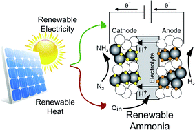 Graphical abstract: Opportunities for intermediate temperature renewable ammonia electrosynthesis