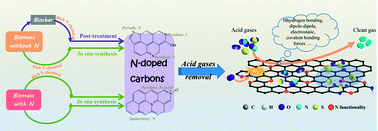 Graphical abstract: The preparation of waste biomass-derived N-doped carbons and their application in acid gas removal: focus on N functional groups