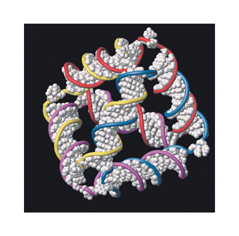 Graphical abstract: The single-step synthesis of a DNA tetrahedron